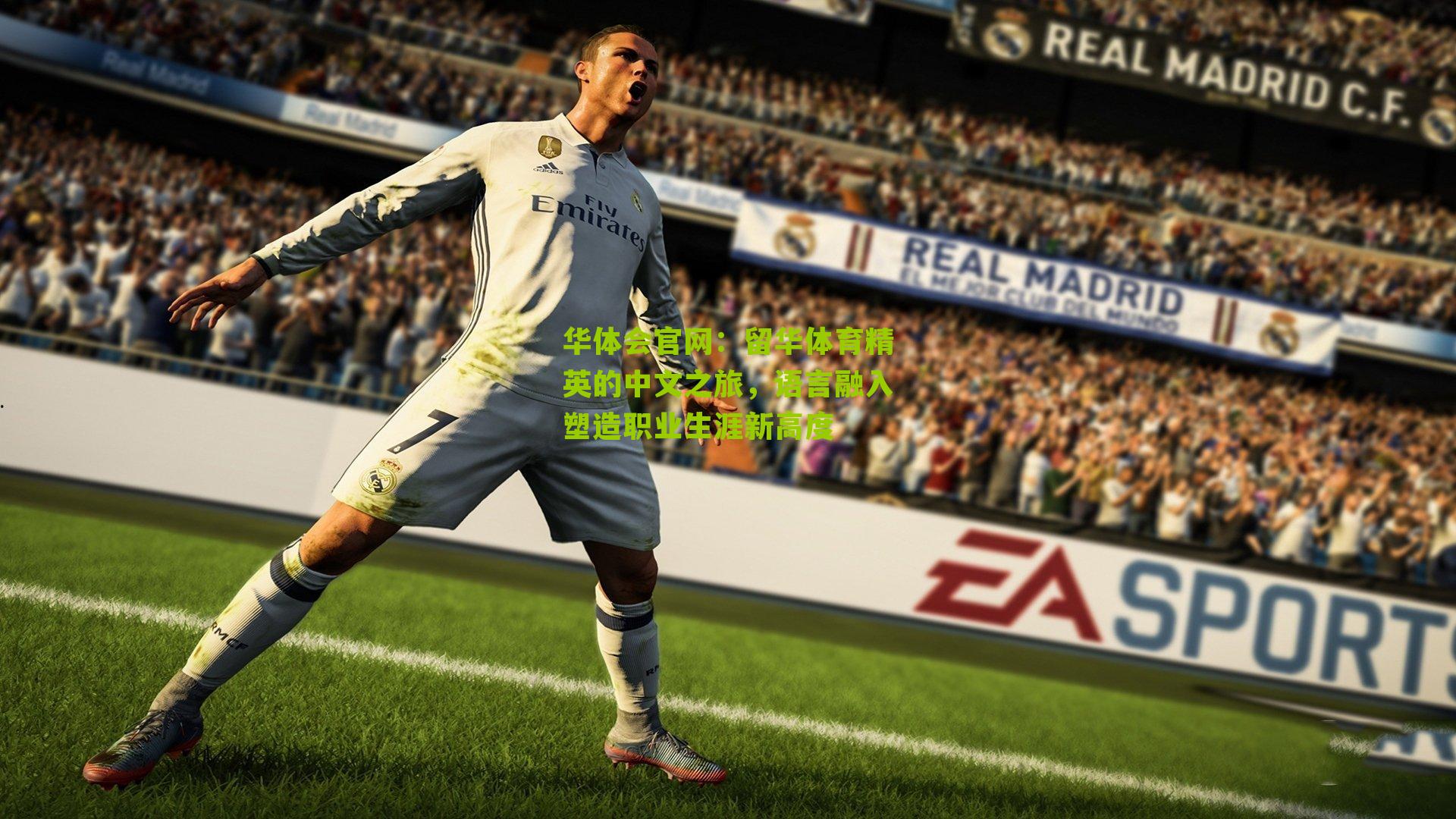 留华体育精英的中文之旅，语言融入塑造职业生涯新高度