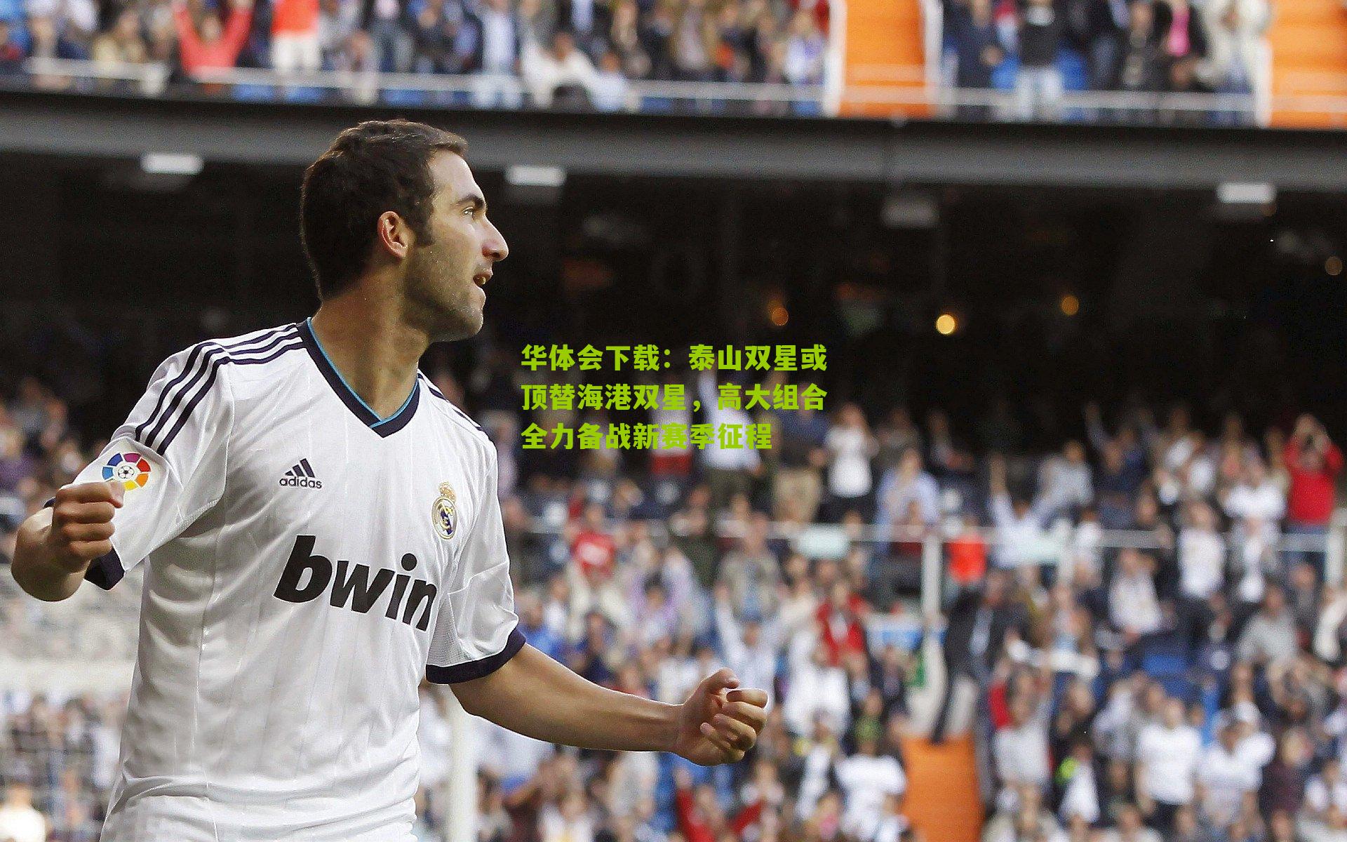 泰山双星或顶替海港双星，高大组合全力备战新赛季征程