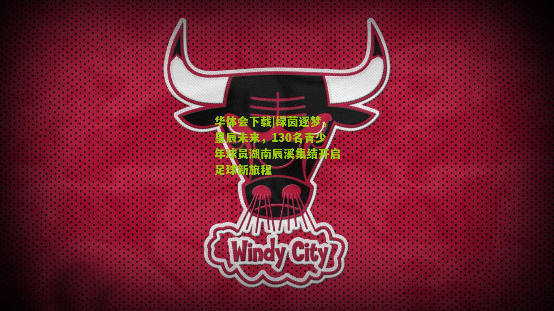 绿茵逐梦，星辰未来，130名青少年球员湖南辰溪集结开启足球新旅程