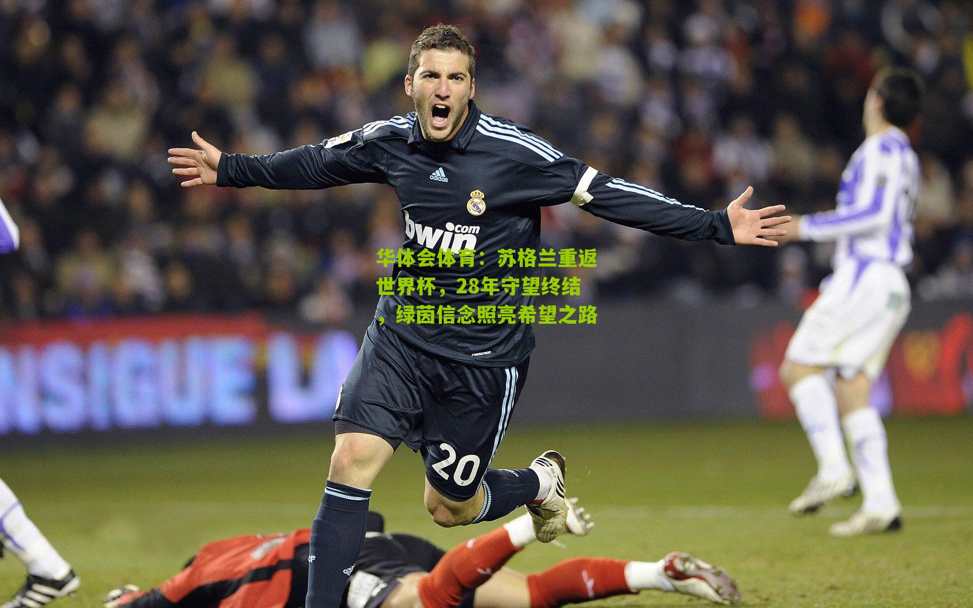 苏格兰重返世界杯，28年守望终结，绿茵信念照亮希望之路