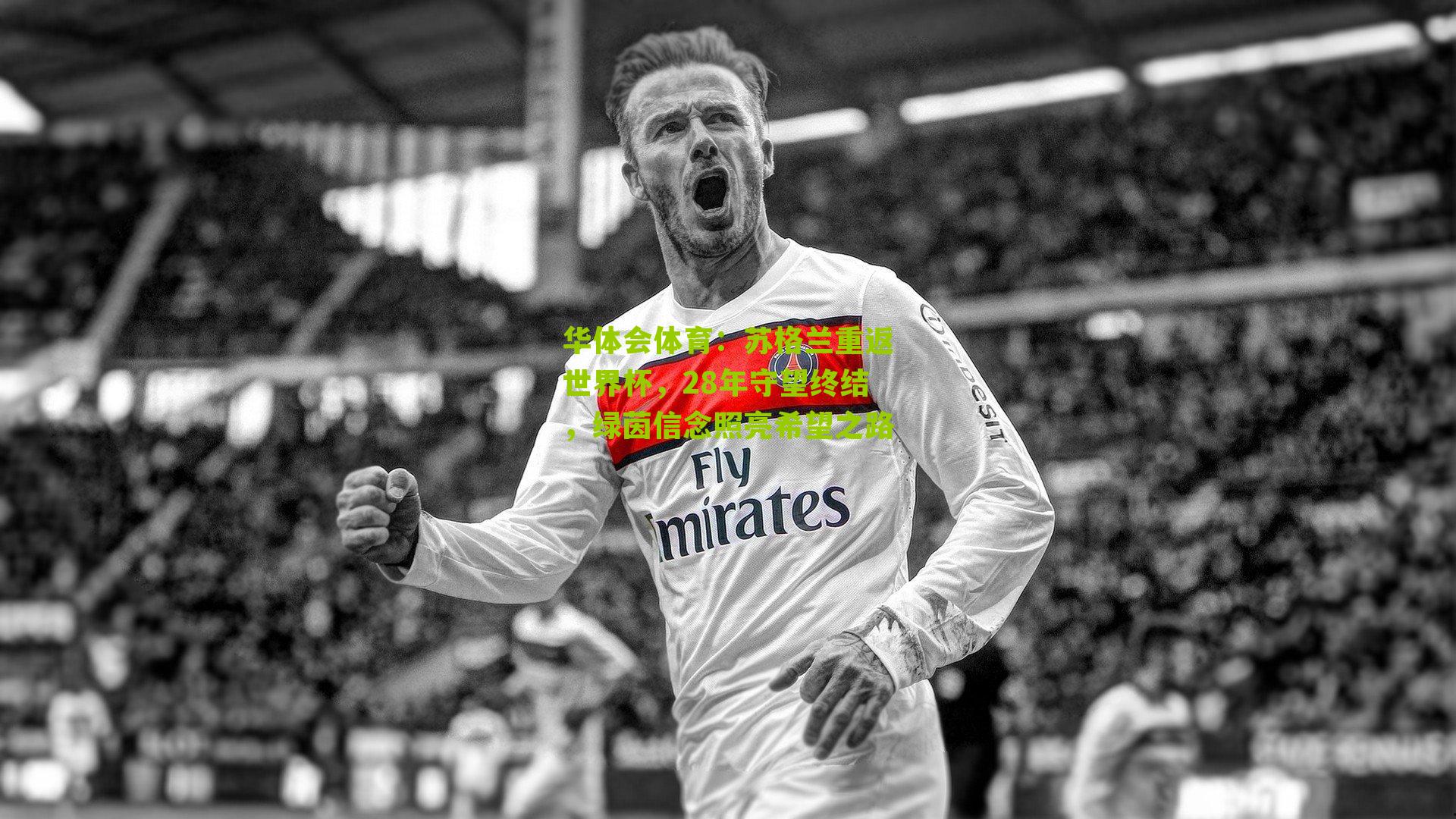 苏格兰重返世界杯，28年守望终结，绿茵信念照亮希望之路